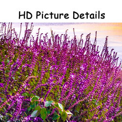 Affiches et impressions de paysage moderne, peinture sur toile de fleurs violettes pour salon, décoration d'intérieur, art mural small picture n° 5