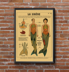 Affiche d'Anatomie de Sirène et d'Oiseau Curieux, Imprimés en Papier Kraft, Vintage, pour la Maison, la Chambre, 73 Bars, Art, Décoration Murale, Peinture Esthétique small picture n° 4