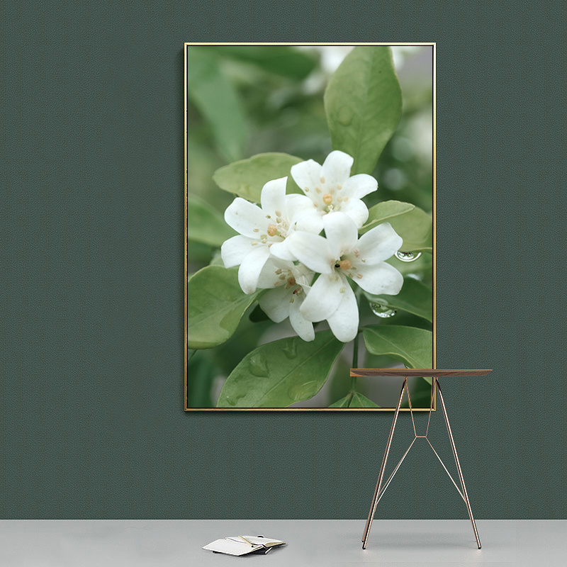 Affiche de la Forêt Verte, Cascade, Courant, Fleurs, Feuilles, Chambre à Coucher, Imprimés de Paysage Naturel, Peinture Personnalisée n° 3