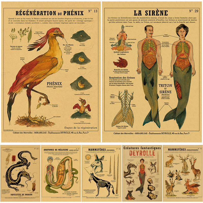 Affiche d'Anatomie de Sirène et d'Oiseau Curieux, Imprimés en Papier Kraft, Vintage, pour la Maison, la Chambre, 73 Bars, Art, Décoration Murale, Peinture Esthétique n° 1