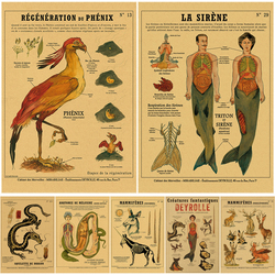 Affiche d'Anatomie de Sirène et d'Oiseau Curieux, Imprimés en Papier Kraft, Vintage, pour la Maison, la Chambre, 73 Bars, Art, Décoration Murale, Peinture Esthétique small picture n° 1