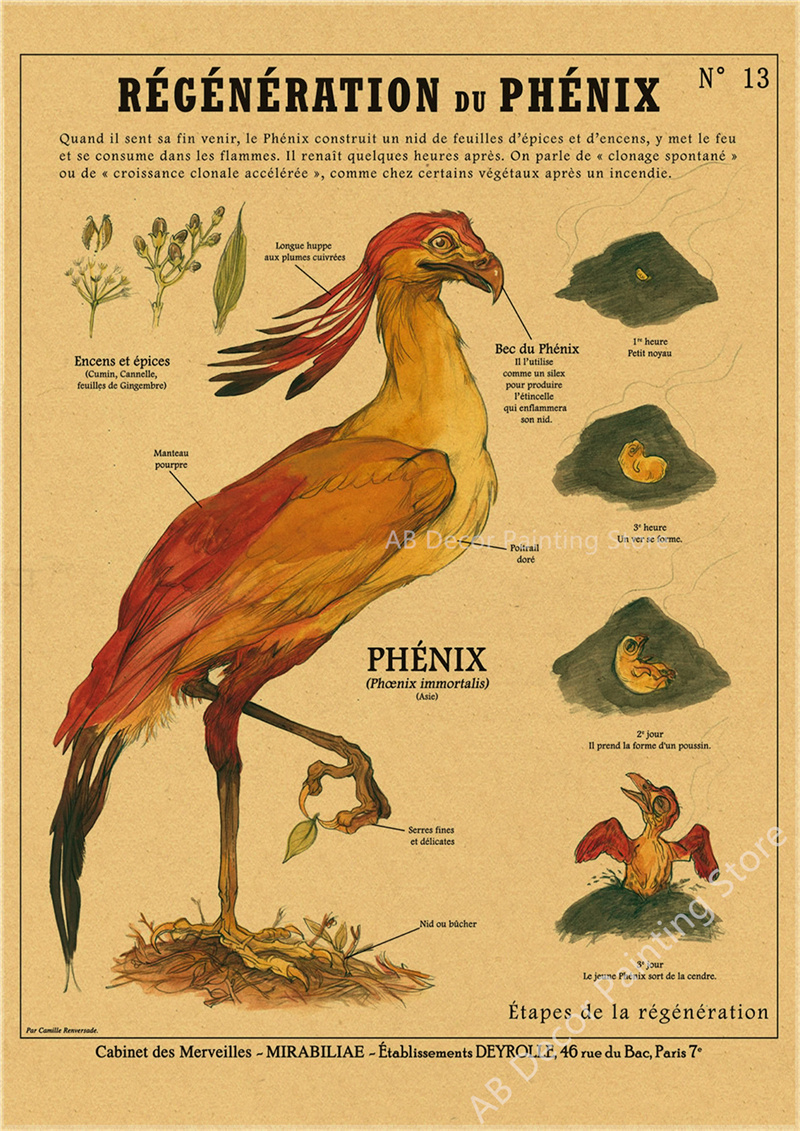 Affiche d'Anatomie de Sirène et d'Oiseau Curieux, Imprimés en Papier Kraft, Vintage, pour la Maison, la Chambre, 73 Bars, Art, Décoration Murale, Peinture Esthétique n° 5